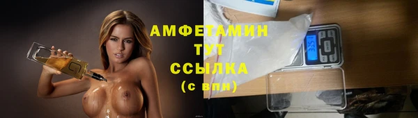 твердый Михайловск