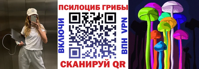 Псилоцибиновые грибы мицелий  где найти   ОМГ ОМГ как зайти  Надым 