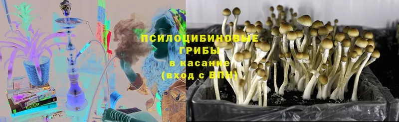 Псилоцибиновые грибы Magic Shrooms Надым