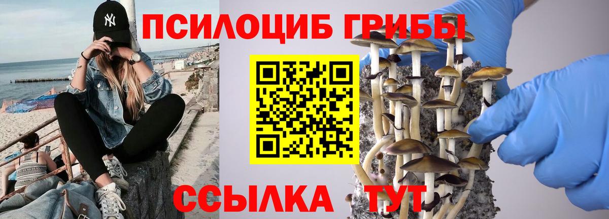 Надым  Галлюциногенные грибы Magic Shrooms  Вход с VPN 